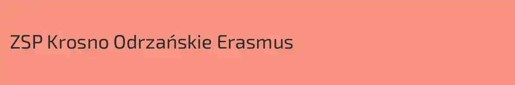 ZSP Krosno Odrzańskie Erasmus